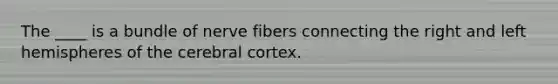 The ____ is a bundle of nerve fibers connecting the right and left hemispheres of the cerebral cortex.