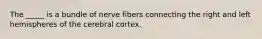 The _____ is a bundle of nerve fibers connecting the right and left hemispheres of the cerebral cortex.