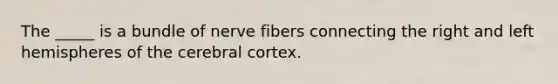 The _____ is a bundle of nerve fibers connecting the right and left hemispheres of the cerebral cortex.