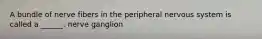 A bundle of nerve fibers in the peripheral nervous system is called a ______. nerve ganglion