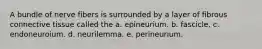 A bundle of nerve fibers is surrounded by a layer of fibrous connective tissue called the a. epineurium. b. fascicle. c. endoneuroium. d. neurilemma. e. perineurium.