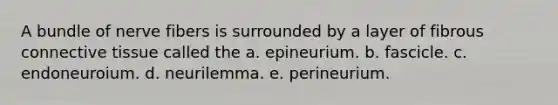 A bundle of nerve fibers is surrounded by a layer of fibrous <a href='https://www.questionai.com/knowledge/kYDr0DHyc8-connective-tissue' class='anchor-knowledge'>connective tissue</a> called the a. epineurium. b. fascicle. c. endoneuroium. d. neurilemma. e. perineurium.