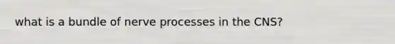 what is a bundle of nerve processes in the CNS?