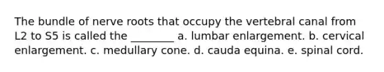 The bundle of nerve roots that occupy the vertebral canal from L2 to S5 is called the ________ a. lumbar enlargement. b. cervical enlargement. c. medullary cone. d. cauda equina. e. spinal cord.