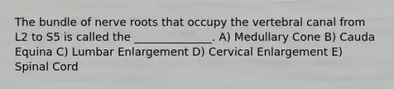 The bundle of nerve roots that occupy the vertebral canal from L2 to S5 is called the ______________. A) Medullary Cone B) Cauda Equina C) Lumbar Enlargement D) Cervical Enlargement E) Spinal Cord