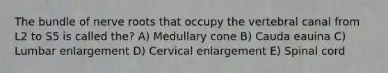 The bundle of nerve roots that occupy the vertebral canal from L2 to S5 is called the? A) Medullary cone B) Cauda eauina C) Lumbar enlargement D) Cervical enlargement E) Spinal cord