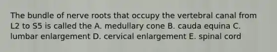 The bundle of nerve roots that occupy the vertebral canal from L2 to S5 is called the A. medullary cone B. cauda equina C. lumbar enlargement D. cervical enlargement E. spinal cord