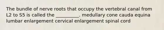 The bundle of nerve roots that occupy the vertebral canal from L2 to S5 is called the __________. medullary cone cauda equina lumbar enlargement cervical enlargement spinal cord