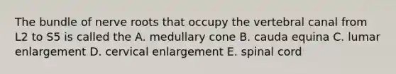 The bundle of nerve roots that occupy the vertebral canal from L2 to S5 is called the A. medullary cone B. cauda equina C. lumar enlargement D. cervical enlargement E. spinal cord