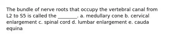 The bundle of nerve roots that occupy the vertebral canal from L2 to S5 is called the ________. a. medullary cone b. cervical enlargement c. spinal cord d. lumbar enlargement e. cauda equina