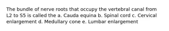 The bundle of nerve roots that occupy the vertebral canal from L2 to S5 is called the a. Cauda equina b. Spinal cord c. Cervical enlargement d. Medullary cone e. Lumbar enlargement