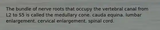 The bundle of nerve roots that occupy the vertebral canal from L2 to S5 is called the medullary cone. cauda equina. lumbar enlargement. cervical enlargement. spinal cord.