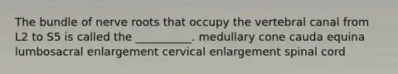 The bundle of nerve roots that occupy the vertebral canal from L2 to S5 is called the __________. medullary cone cauda equina lumbosacral enlargement cervical enlargement spinal cord