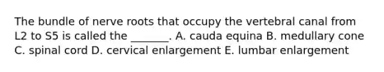 The bundle of nerve roots that occupy the vertebral canal from L2 to S5 is called the _______. A. cauda equina B. medullary cone C. spinal cord D. cervical enlargement E. lumbar enlargement