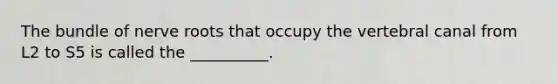 The bundle of nerve roots that occupy the vertebral canal from L2 to S5 is called the __________.