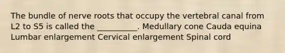 The bundle of nerve roots that occupy the vertebral canal from L2 to S5 is called the __________. Medullary cone Cauda equina Lumbar enlargement Cervical enlargement Spinal cord