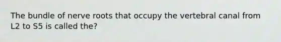The bundle of nerve roots that occupy the vertebral canal from L2 to S5 is called the?