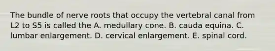 The bundle of nerve roots that occupy the vertebral canal from L2 to S5 is called the A. medullary cone. B. cauda equina. C. lumbar enlargement. D. cervical enlargement. E. spinal cord.