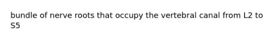 bundle of nerve roots that occupy the vertebral canal from L2 to S5