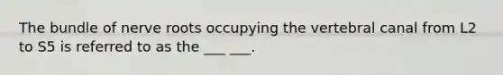 The bundle of nerve roots occupying the vertebral canal from L2 to S5 is referred to as the ___ ___.