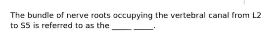 The bundle of nerve roots occupying the vertebral canal from L2 to S5 is referred to as the _____ _____.