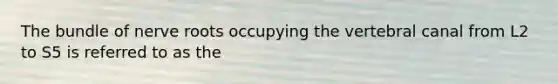 The bundle of nerve roots occupying the vertebral canal from L2 to S5 is referred to as the