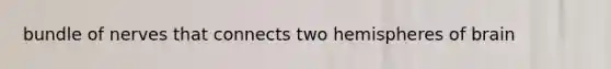 bundle of nerves that connects two hemispheres of brain