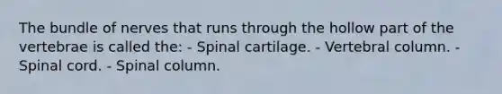 The bundle of nerves that runs through the hollow part of the vertebrae is called the: - Spinal cartilage. - Vertebral column. - Spinal cord. - Spinal column.