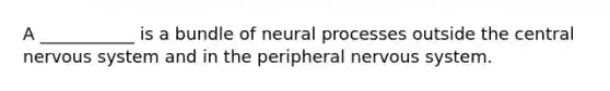 A ___________ is a bundle of neural processes outside the central nervous system and in the peripheral nervous system.