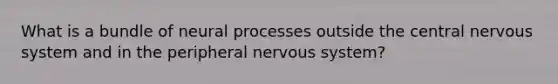 What is a bundle of neural processes outside the central nervous system and in the peripheral nervous system?