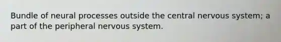 Bundle of neural processes outside the central nervous system; a part of the peripheral nervous system.