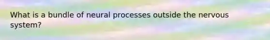 What is a bundle of neural processes outside the nervous system?