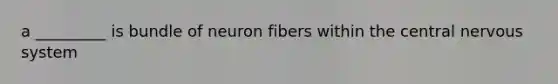 a _________ is bundle of neuron fibers within the central nervous system