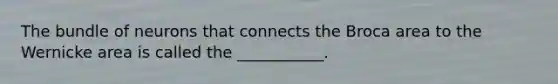 The bundle of neurons that connects the Broca area to the Wernicke area is called the ___________.
