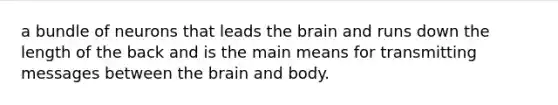 a bundle of neurons that leads the brain and runs down the length of the back and is the main means for transmitting messages between the brain and body.