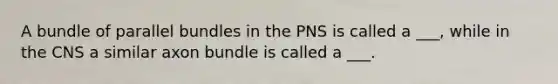 A bundle of parallel bundles in the PNS is called a ___, while in the CNS a similar axon bundle is called a ___.