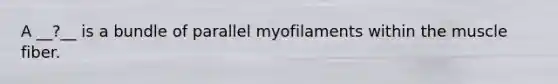 A __?__ is a bundle of parallel myofilaments within the muscle fiber.