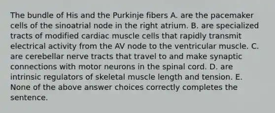 The bundle of His and the Purkinje fibers A. are the pacemaker cells of the sinoatrial node in the right atrium. B. are specialized tracts of modified cardiac muscle cells that rapidly transmit electrical activity from the AV node to the ventricular muscle. C. are cerebellar nerve tracts that travel to and make synaptic connections with motor neurons in <a href='https://www.questionai.com/knowledge/kkAfzcJHuZ-the-spinal-cord' class='anchor-knowledge'>the spinal cord</a>. D. are intrinsic regulators of skeletal muscle length and tension. E. None of the above answer choices correctly completes the sentence.