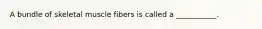 A bundle of skeletal muscle fibers is called a ___________.