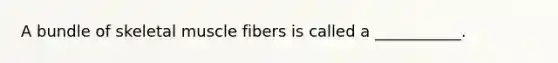 A bundle of skeletal muscle fibers is called a ___________.