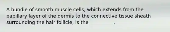 A bundle of smooth muscle cells, which extends from the papillary layer of the dermis to the connective tissue sheath surrounding the hair follicle, is the __________.