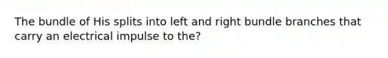 The bundle of His splits into left and right bundle branches that carry an electrical impulse to the?