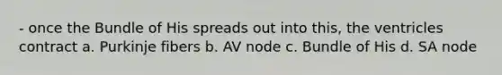 - once the Bundle of His spreads out into this, the ventricles contract a. Purkinje fibers b. AV node c. Bundle of His d. SA node