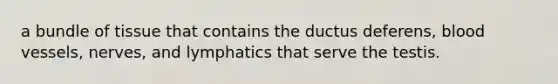a bundle of tissue that contains the ductus deferens, <a href='https://www.questionai.com/knowledge/kZJ3mNKN7P-blood-vessels' class='anchor-knowledge'>blood vessels</a>, nerves, and lymphatics that serve the testis.
