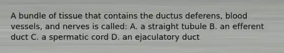 A bundle of tissue that contains the ductus deferens, blood vessels, and nerves is called: A. a straight tubule B. an efferent duct C. a spermatic cord D. an ejaculatory duct