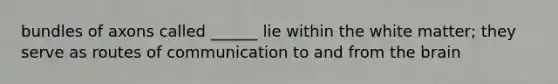bundles of axons called ______ lie within the white matter; they serve as routes of communication to and from the brain