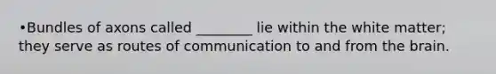 •Bundles of axons called ________ lie within the white matter; they serve as routes of communication to and from the brain.