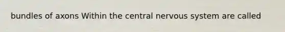 bundles of axons Within the central nervous system are called