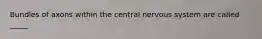 Bundles of axons within the central nervous system are called _____