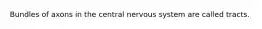 Bundles of axons in the central nervous system are called tracts.